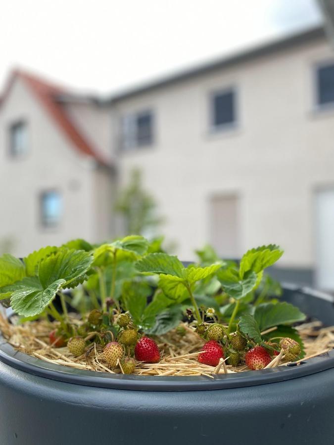 Fewo Sulzer Siedlung Erfurt "Haus 6" Apartman Kültér fotó